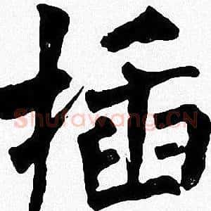 插