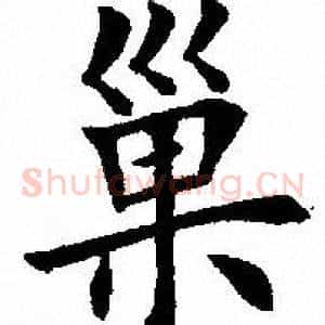 巢