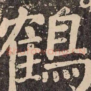 鶴