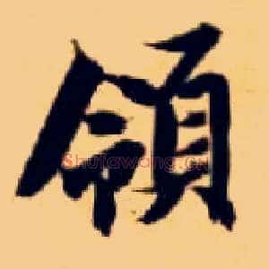 领