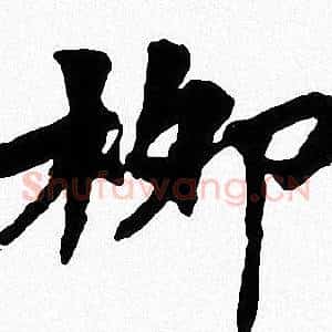 柳