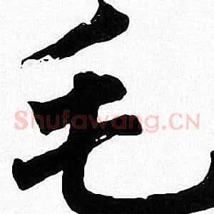 毛