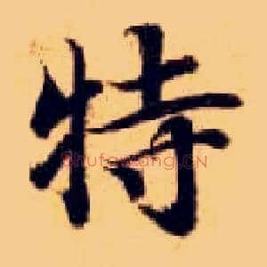 特