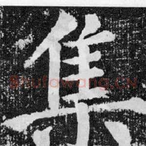 集