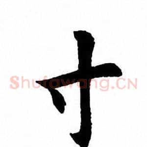 寸