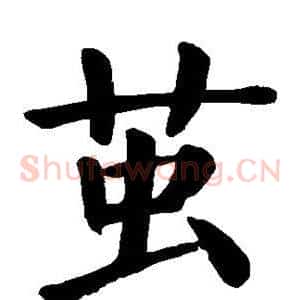 茧