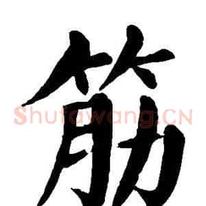 筋