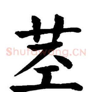 莖