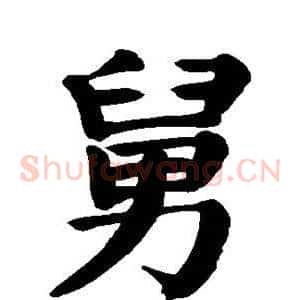 舅