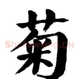 菊
