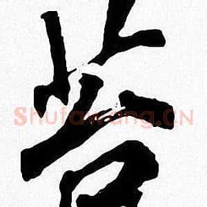 苔