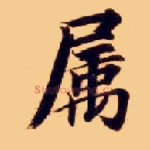 属
