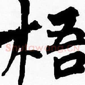 梧