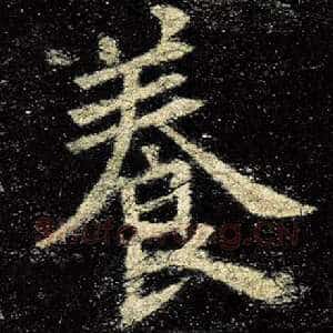 养