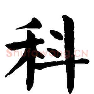 科