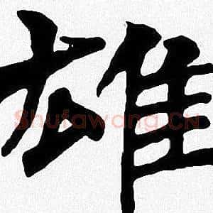 雄