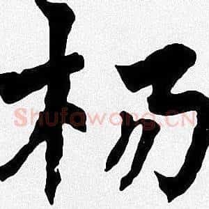 杨
