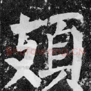 頍
