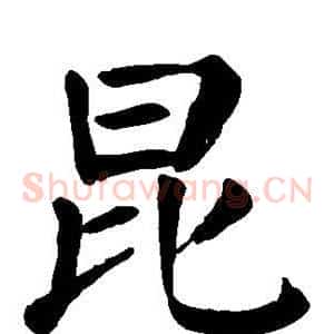 昆