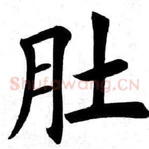 肚