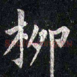 柳