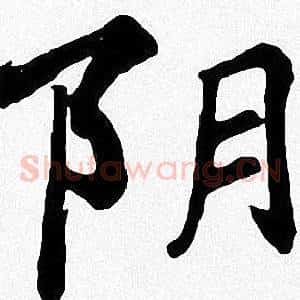 阴