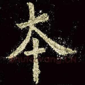 本