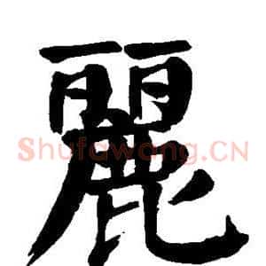 丽