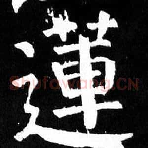 蓮