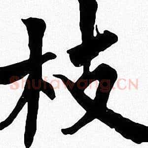 枝