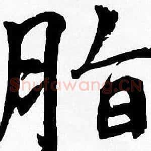 脂