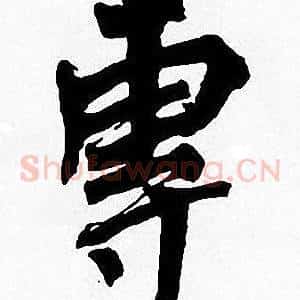 專