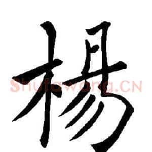 杨
