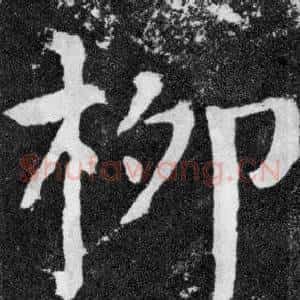 柳