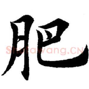 肥