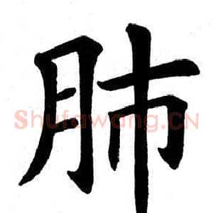肺