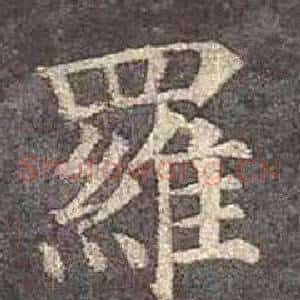 羅