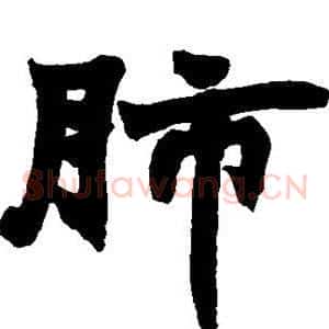 肺