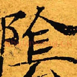 阴