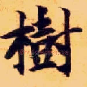 树