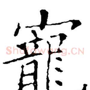 宠