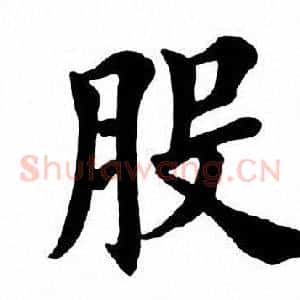 股