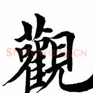观