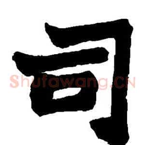 司