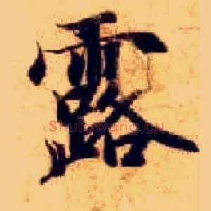 露