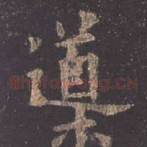 導