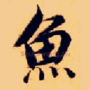 鱼