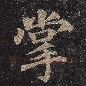 掌