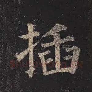 插