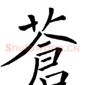 苍